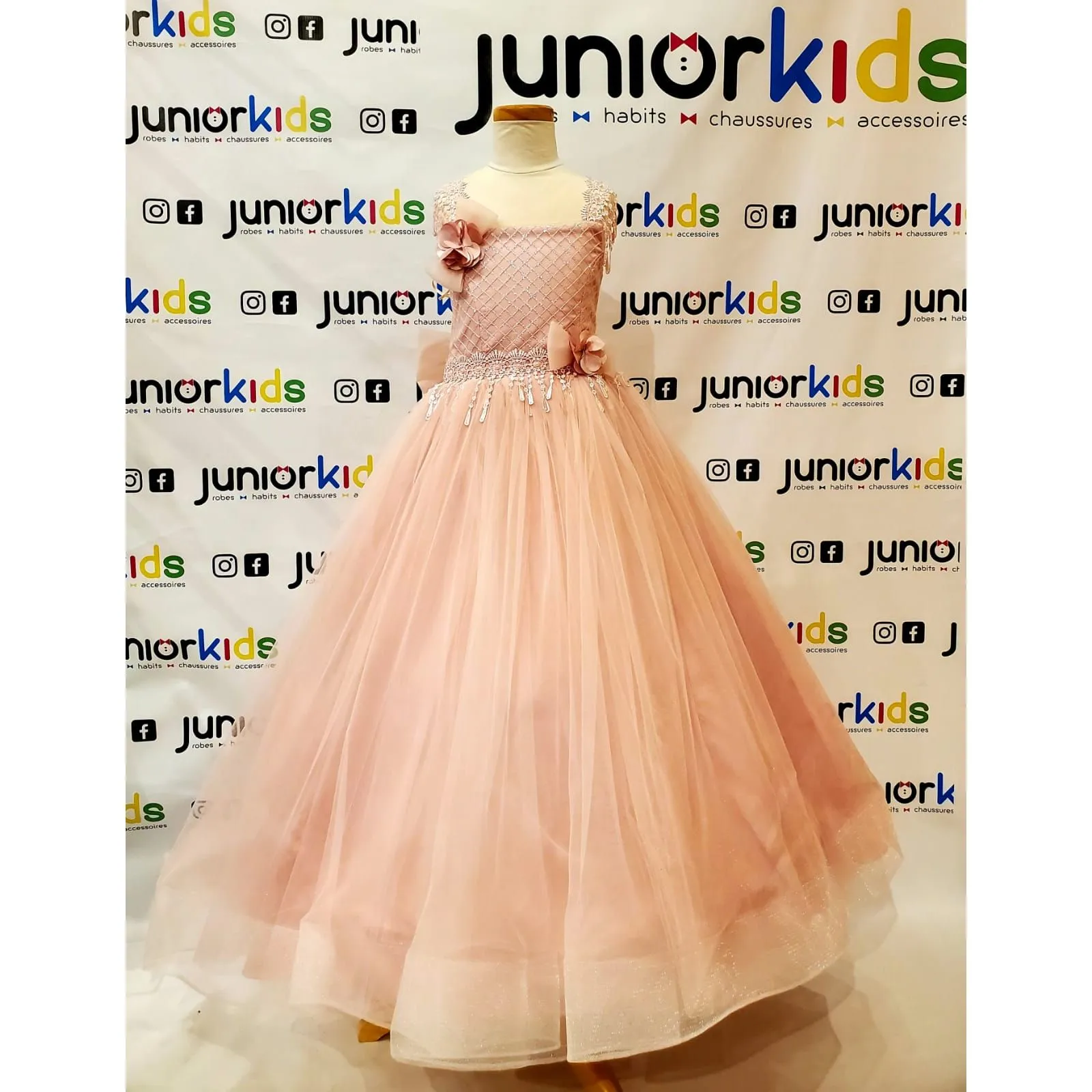 Euro Princess Real Princess Dress