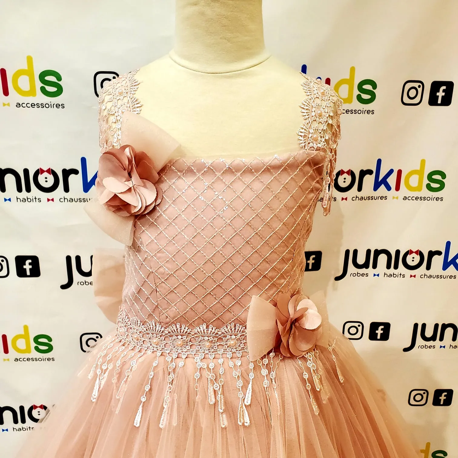 Euro Princess Real Princess Dress