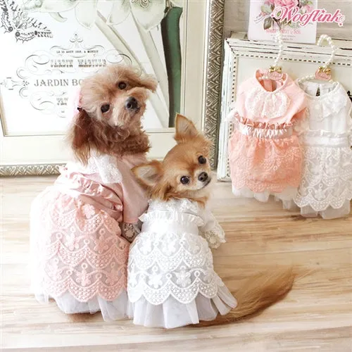 Wooflink Dreamy Afternoon Dress - Peach