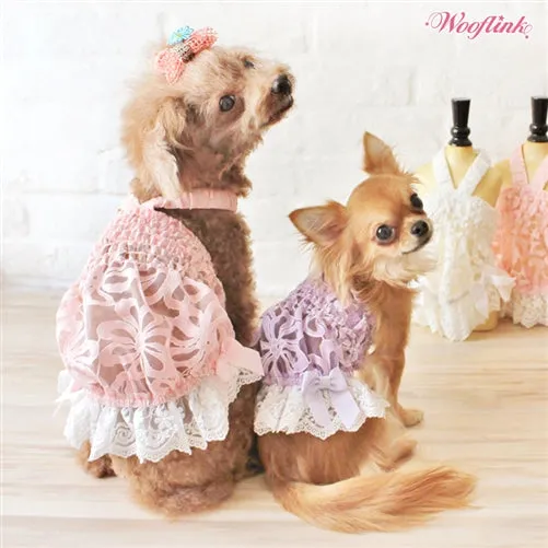 Wooflink Summer Pastel - White